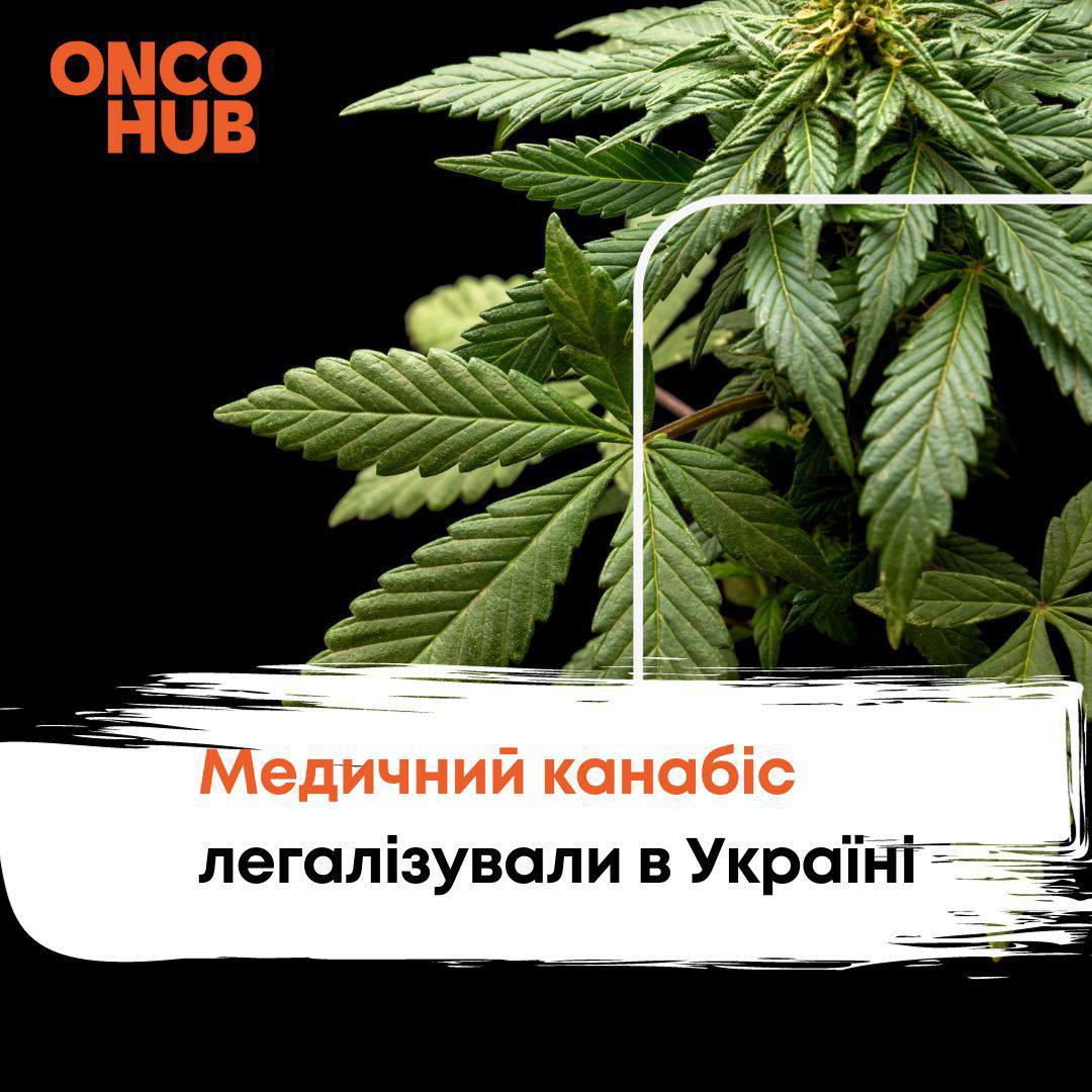 Verkhovna Rada adopted a draft law on the legalization of medical cannabis